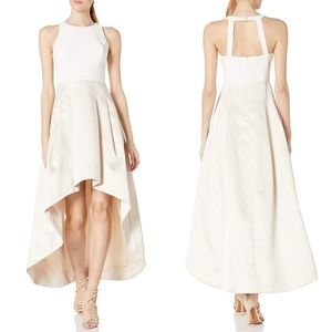 NEW ELIZA J Asymmetrical CHAMPAGNE Two Tone CREPE & MIKADO High Low DRESS GOWN 4